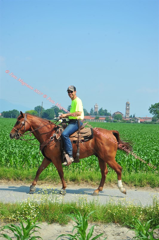 DSC_0869.JPG